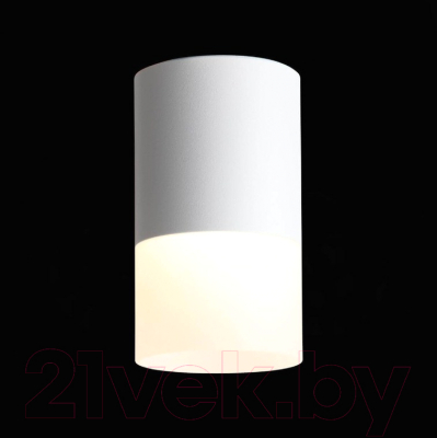 Потолочный светильник ST Luce Ottu ST100.502.10