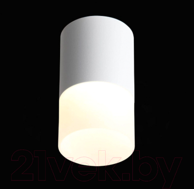 Потолочный светильник ST Luce Ottu ST100.502.10