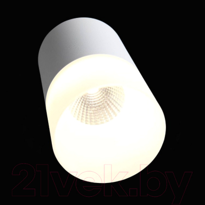 Потолочный светильник ST Luce Ottu ST100.502.10