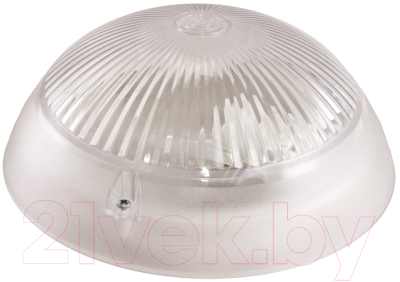 Светильник ЖКХ TDM НПП 03-100-010.11 У3 Сириус - фото