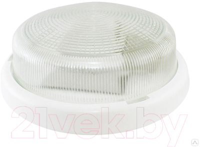 Светильник ЖКХ TDM НПП 03-2x60-015.01 УХЛ4 Рондо - фото