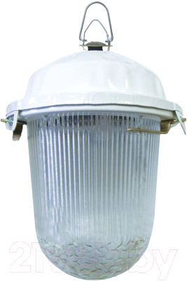 Светильник для подсобных помещений TDM НСП 02-100-001.01 У2 - фото