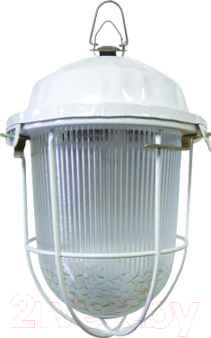 Светильник для подсобных помещений TDM НСП 02-100-002.01 У2 - фото