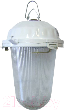 Светильник для подсобных помещений TDM НСП 02-200-021.01 У2 - фото