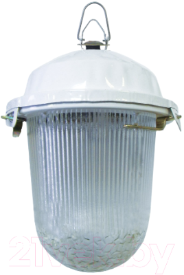 Светильник для подсобных помещений TDM НСП 02-100-001.01 У2 без решетки - фото