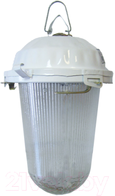 Светильник для подсобных помещений TDM НСП 02-200-021.01 У2 без решетки - фото