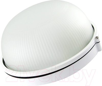 Светильник ЖКХ TDM НПБ1101 100Вт IP54 - фото