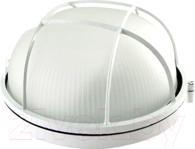 Светильник ЖКХ TDM НПБ1102 100Вт IP54 - фото