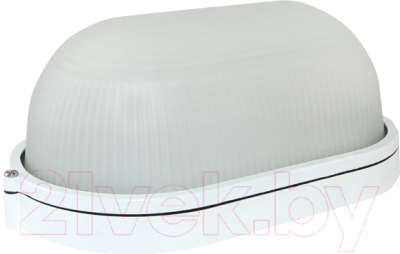 Светильник ЖКХ TDM НПБ1201 100Вт IP54 - фото