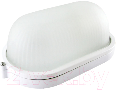 Светильник ЖКХ TDM НПБ1401 60Вт IP54 - фото