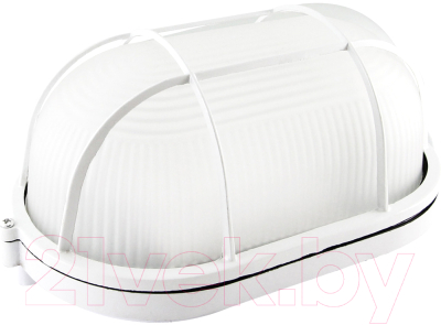 Светильник ЖКХ TDM НПБ1402 60Вт IP54 - фото