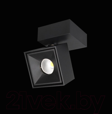 Спот Citilux Стамп CL558021N