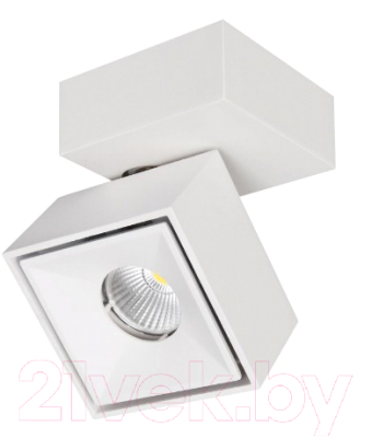 Спот Citilux Стамп CL558020N - фото