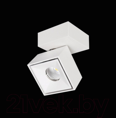 Спот Citilux Стамп CL558020N