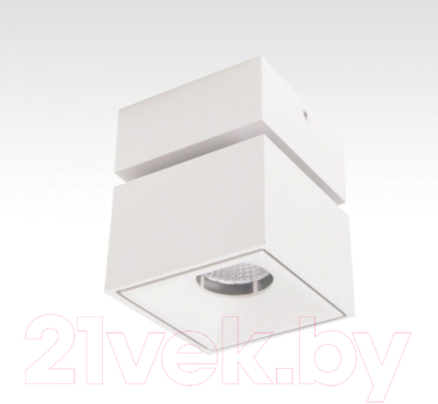 Спот Citilux Стамп CL558020N