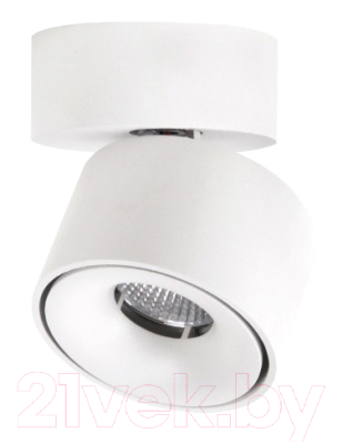 Спот Citilux Стамп CL558010N - фото