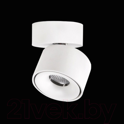 Спот Citilux Стамп CL558010N