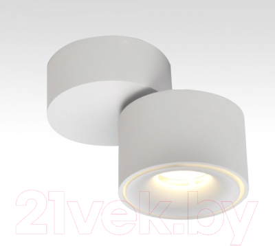 Спот Citilux Стамп CL558010N