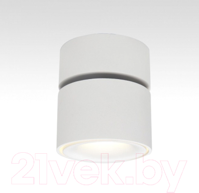 Спот Citilux Стамп CL558010N