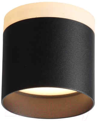 Потолочный светильник ST Luce Panaggio ST102.402.09 - фото