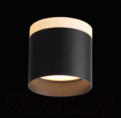 Потолочный светильник ST Luce Panaggio ST102.402.09