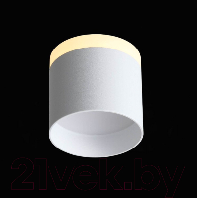 Потолочный светильник ST Luce Panaggio ST102.502.09