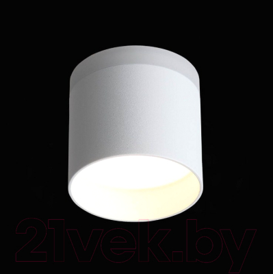 Потолочный светильник ST Luce Panaggio ST102.502.09