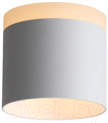 Потолочный светильник ST Luce Panaggio ST102.502.12 - фото