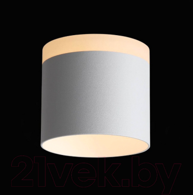 Потолочный светильник ST Luce Panaggio ST102.502.12