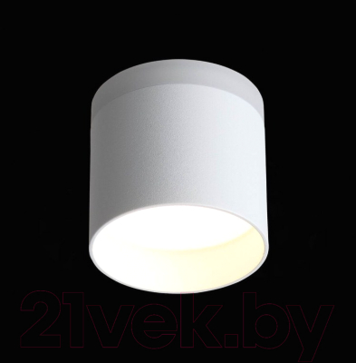 Потолочный светильник ST Luce Panaggio ST102.502.12