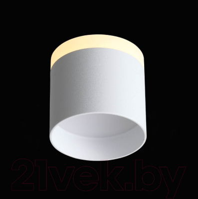 Потолочный светильник ST Luce Panaggio ST102.502.12