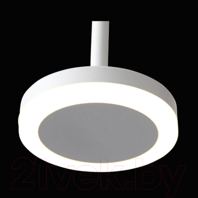 Потолочный светильник ST Luce Ciamella ST104.503.06