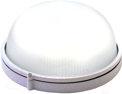 Светильник ЖКХ TDM LED ЖКХ 1301 1000Лм 8Вт IP54 - фото