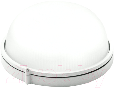 Светильник ЖКХ TDM LED ЖКХ 1101 1500Лм 16Вт IP54 - фото