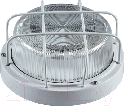 Светильник ЖКХ TDM НПП 03-100-103 IP65 - фото