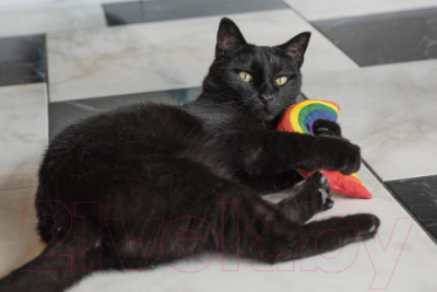 Игрушка для кошек Rosewood Радуга YEOWWW / 634292/RW