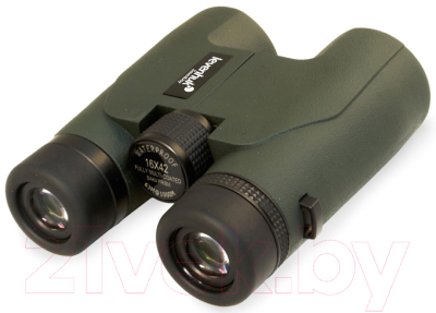 Бинокль Levenhuk Karma PRO 16x42 / 67701 - фото