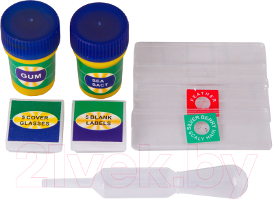 Микроскоп оптический Levenhuk LabZZ M1 / 69739