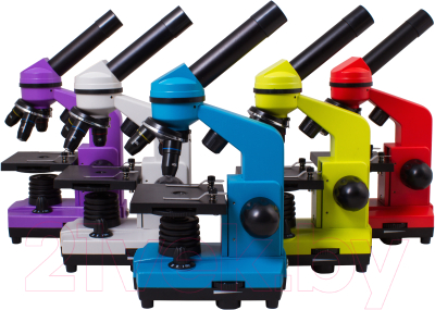 Микроскоп оптический Levenhuk Rainbow 2L / 69035