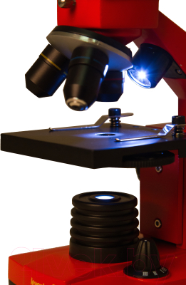 Микроскоп оптический Levenhuk Rainbow 2L Plus / 69045 (Orange)