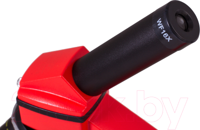 Микроскоп оптический Levenhuk Rainbow 2L Plus / 69045 (Orange)