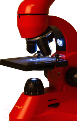 Микроскоп оптический Levenhuk Rainbow 50L / 69050