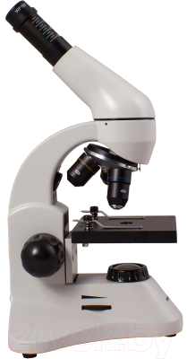 Микроскоп оптический Levenhuk Rainbow 50L Plus / 69051 (Moonstone)