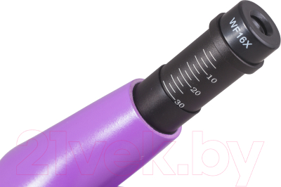 Микроскоп оптический Levenhuk Rainbow 50L Plus / 69052 (Amethyst)