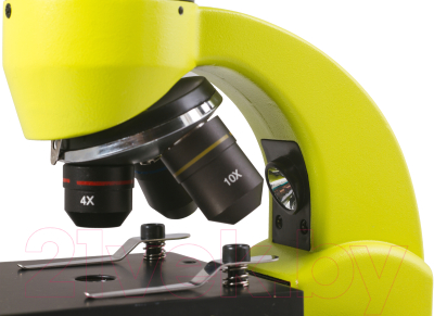 Микроскоп оптический Levenhuk Rainbow 50L Plus / 69054 (Lime)
