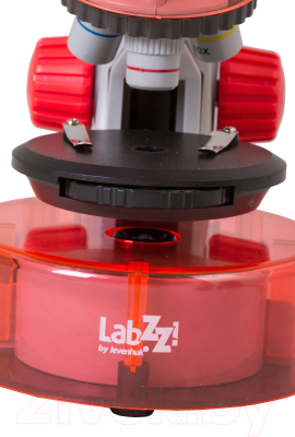 Микроскоп оптический Levenhuk LabZZ M101 / 69730