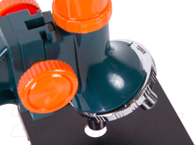 Микроскоп оптический Levenhuk LabZZ M3 / 69741 (с адаптером для фотоаппарата)