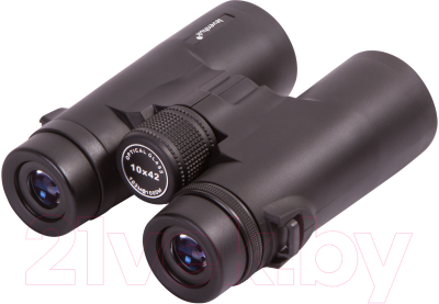 Бинокль Levenhuk Karma BASE 10x42 / 74166