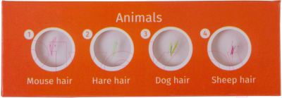 Набор микропрепаратов Levenhuk LabZZ C12 / 72868