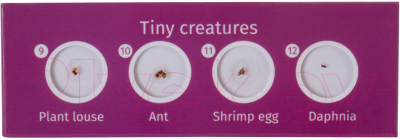 Набор микропрепаратов Levenhuk LabZZ C12 / 72868